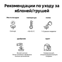 Яблоня карликовая Ковровое в тубе Поиск Инвест