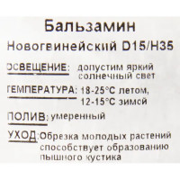 Бальзамин новогвинейский 15х35 см