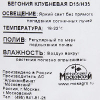 Бегония клубневая 15х35 см