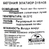 Бегония «Элатиор» 15х35 см