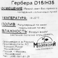 Гербера 15х35 см