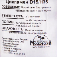 Цикламен 15х35 см