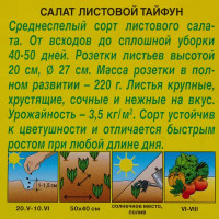 Семена Салат листовой Тайфун