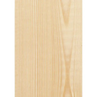 Раствор деревозащитный Profiwood ФБС-255 10 кг
