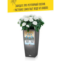 Кашпо для растений Lechuza Кубико Коттедж 15245 с автополивом 40x40x75 см v34 л пластик цвет мокко