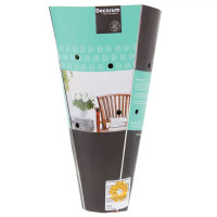 Хризантема Зембла 13х35 см