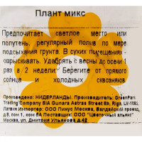 Плант микс D8 H10-35