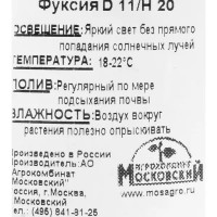 Рассада Фуксия 20х11 см