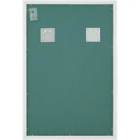 Зеркало для ванной Omega Glass NNB15 60x90 см прямоугольное цвет белый