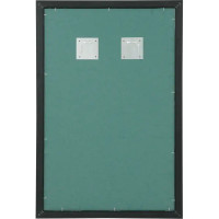 Зеркало для ванной Omega Glass NNB16 60x90 см прямоугольное цвет черный