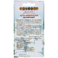 Астра низкорослая Белый ковер