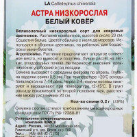 Астра низкорослая Белый ковер