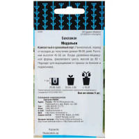 Семена Баклажан «Медальон»