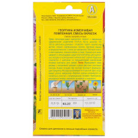 Георгина помпонная смесь окрасок