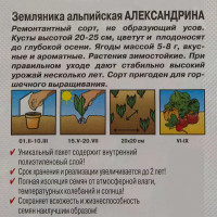 Семена Земляника «Александрина» (Лидер)