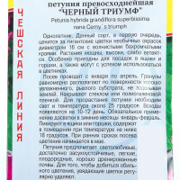 Петуния превосходнейшая «Чёрный Триумф»