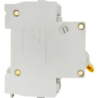 Автоматический выключатель IEK Home ВА47-29 2P N C40 А 4.5 кА