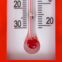 Термометр декоративный «Божья коровка»