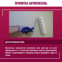 Грунтовка Боларс Антиплесень 5 л