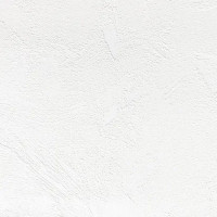 Обои под покраску флизелиновые Erismann Defender Штукатурка 1.06x10 м ЭР2844-1