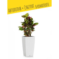 Кашпо Lechuza для цветов Кубико Коттедж 15226 с автополивом 30x30x56 см v14 л пластик белый