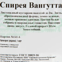 Спирея С2 «Вангутта» h40