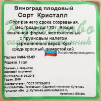 Виноград плодовый С2 «Кристалл» h50