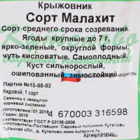 Крыжовник С2 Малахит h40 (2 года)
