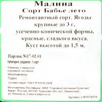 Малина С2 «Бабье лето» h40