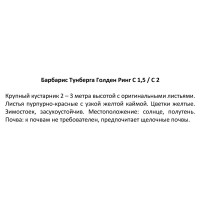 Барбарис Тунберга «Голден Ринг», контейнер 1.5-2 л