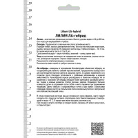 Лилия ЛА-гибрид «Нэшвилл», высота 50 см, 1 шт.
