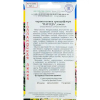 Семена цветов Черноголовка крупноцветковая Пагода смесь окрасок Поиск Инвест