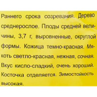 Вишня Морозовой «Десертная»