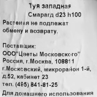 Туя западная «Смарагд» 3 л h100 см