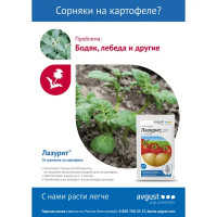 Средство от сорняков «Лазурит» 20 г