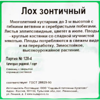 Лох зонтичный (плодовый) С2 40 см