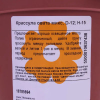 Крассула Овата микс ø12 h15 см
