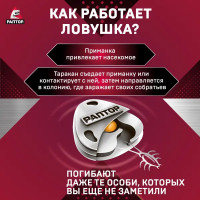 Система ликвидации тараканов и муравьев