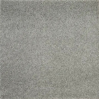 Ковровое покрытие «Шегги Фьюжн» 80202-49022 2.5 м, цвет серый