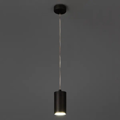 Светильник подвесной Arte Lamp Canopus 1 лампа 2 м² цвет черный