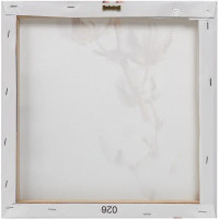 Картина на холсте «Хлопок» 30x30 см