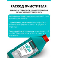 Удалитель высолов и остатков раствора Cemmix CemClean, 1 л