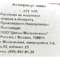 Аспарагус микс 12x35 см