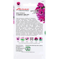 Виола «Карамель Черри Розе» F1