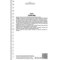 Георгины декоративные Мюзетт I, 1 шт