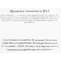 Драцена микс d13 н30