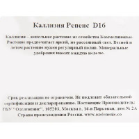 Каллизия репенс d16 h25