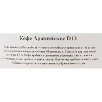 Кофе аравийское d13 h25