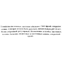 Петуния грандифлора 10 шт