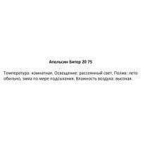 Апельсин Битер 20x75 см
